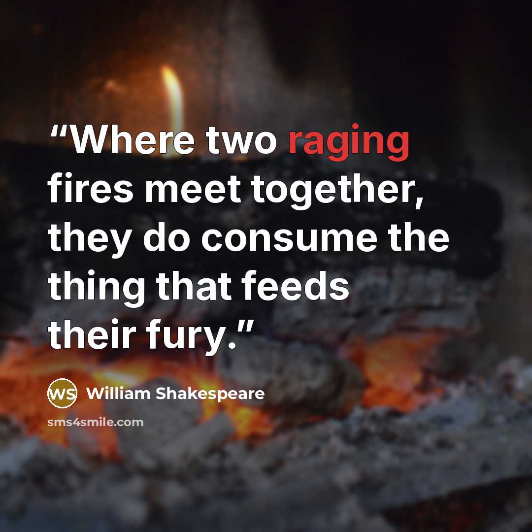 “Where two raging fires meet together, they do consume the thing that feeds their fury.” quote by William Shakespeare