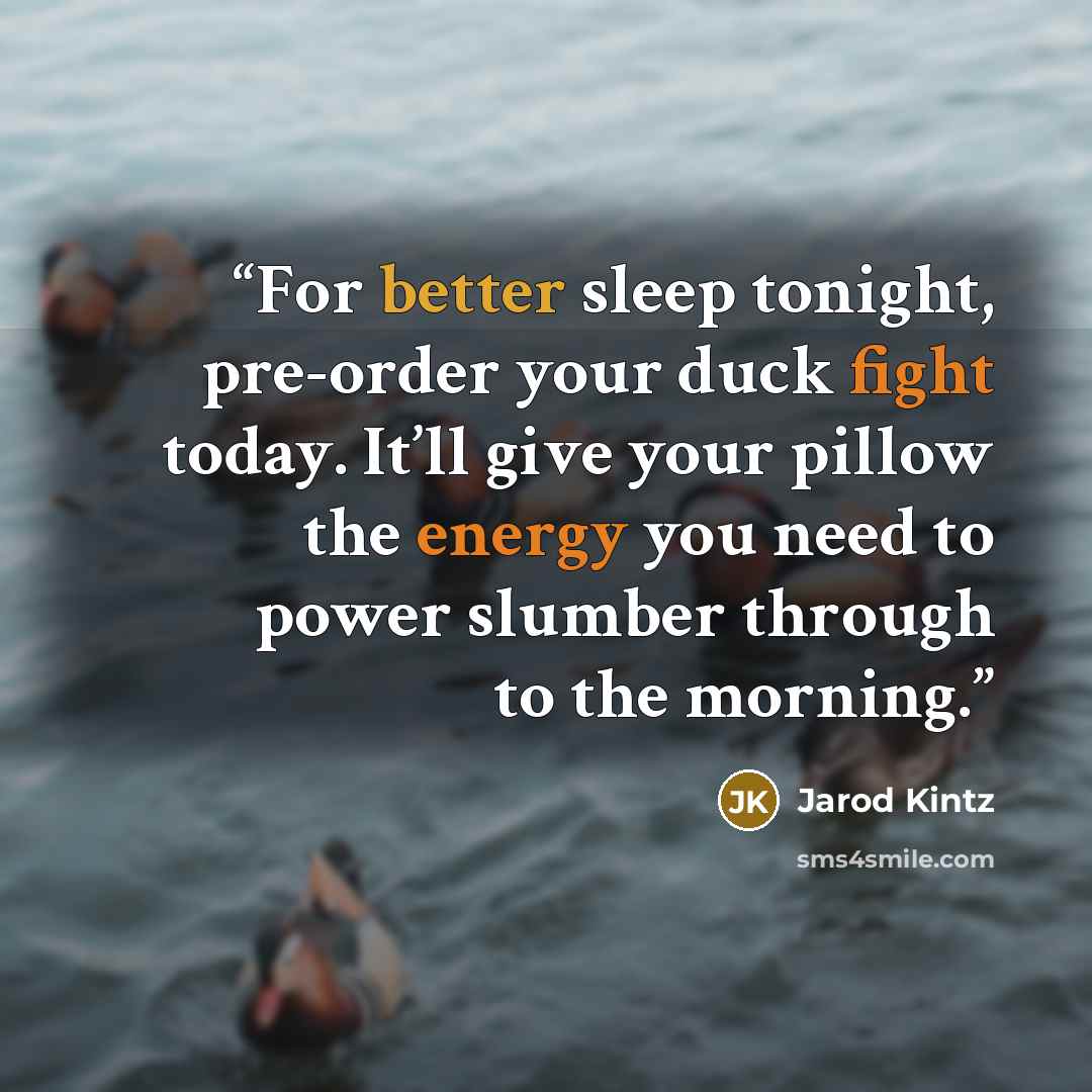 “For better sleep tonight, pre-order your duck fight today. It’ll give your pillow the energy you need to power slumber through to the morning.” quote by Jarod Kintz