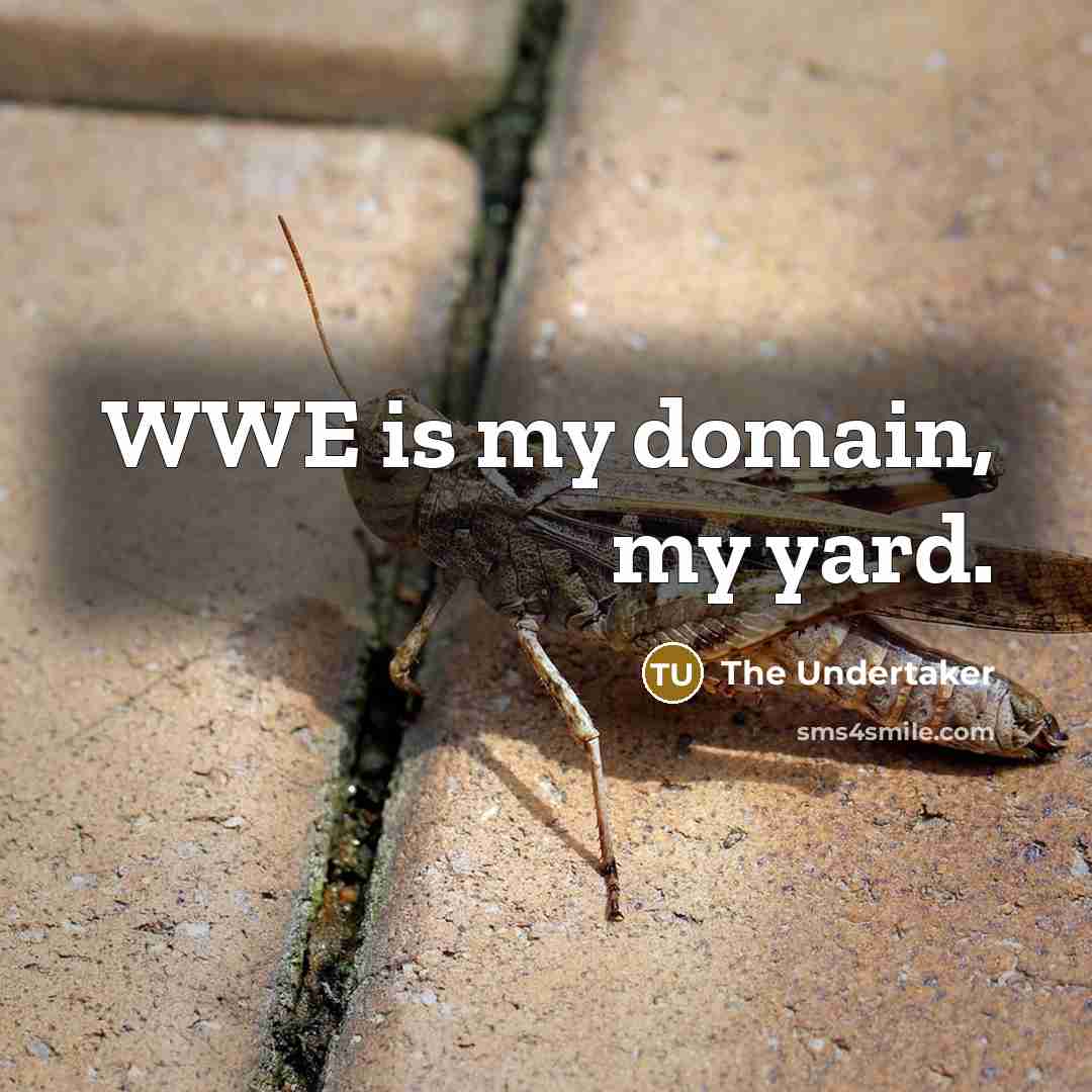 “WWE is my domain, my yard.” quote by The Undertaker