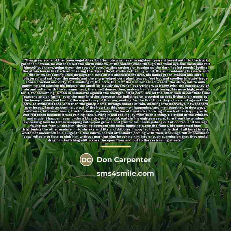 “They grew some of their own vegetables, but Semple was never in eighteen years allowed out into the truck gardens. Instead, he watched out the north window of the violent ward through the thick cyclone mesh and felt himself out there, going down the rows of corn, cutting suckers or tugging up the…” quote by Don Carpenter