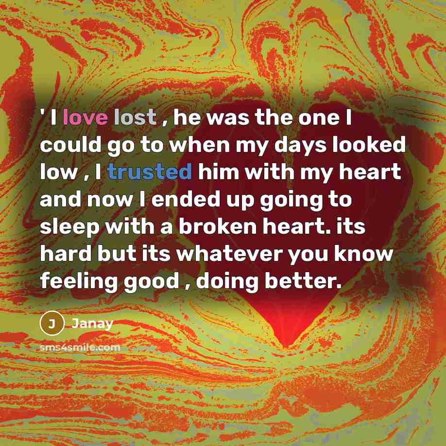 “' I love lost , he was the one I could go to when my days looked low , I trusted him with my heart and now I ended up going to sleep with a broken heart. its hard but its whatever you know feeling good , doing better.” quote by Janay