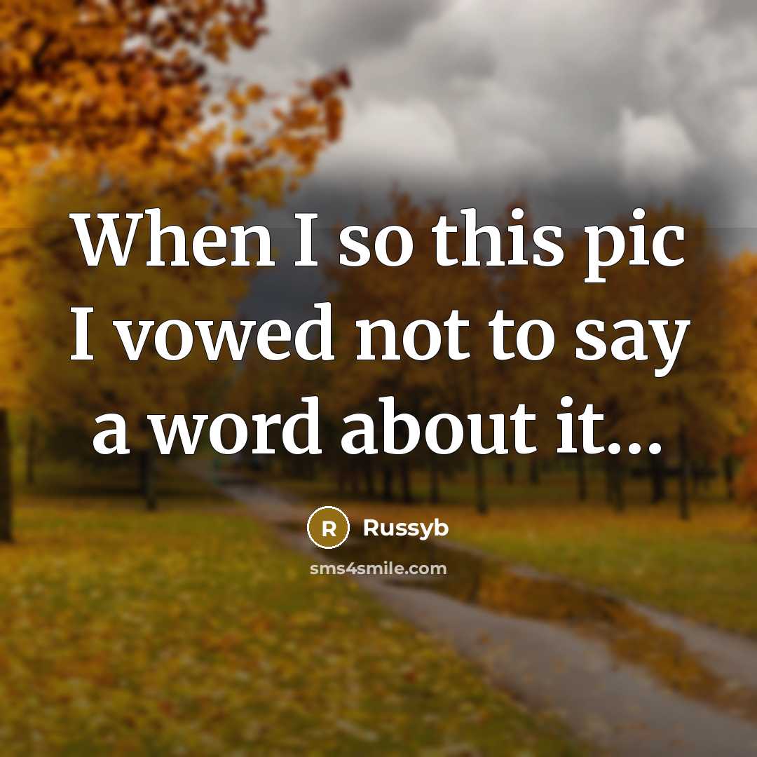 “When I so this pic I vowed not to say a word about it…” quote by Russyb