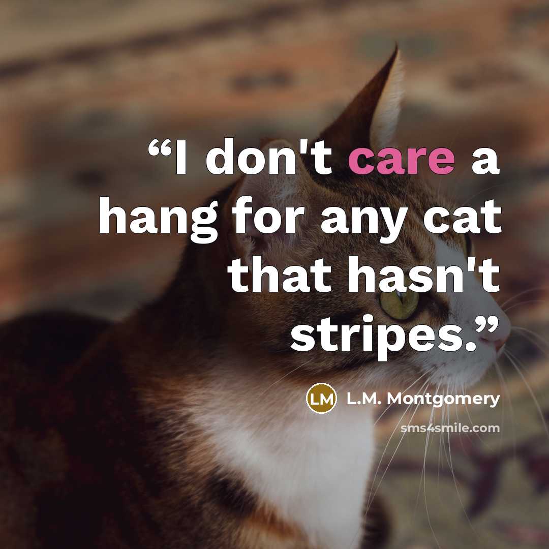 “I don't care a hang for any cat that hasn't stripes.” quote by L.M. Montgomery