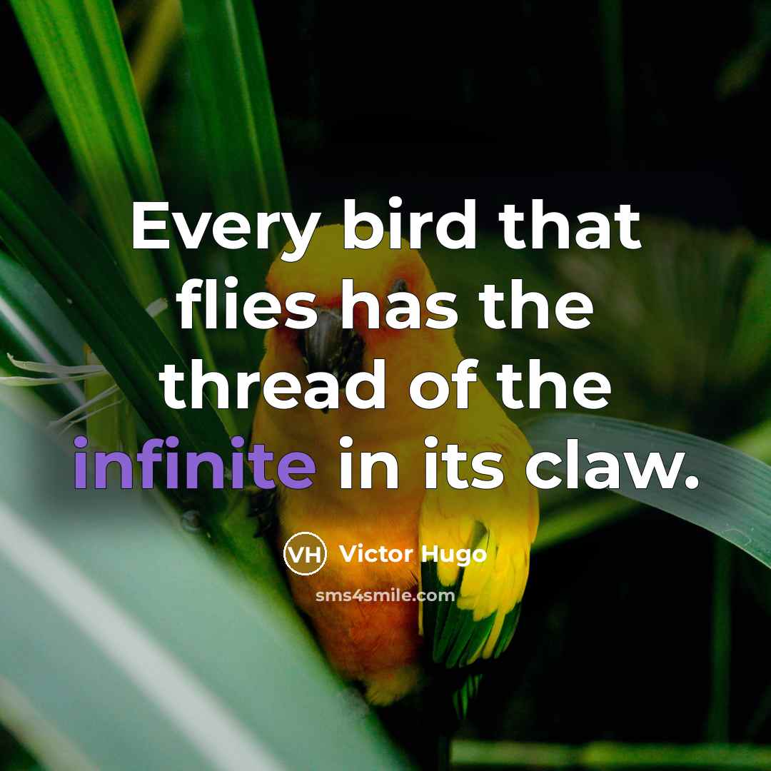 “Every bird that flies has the thread of the infinite in its claw.” quote by Victor Hugo