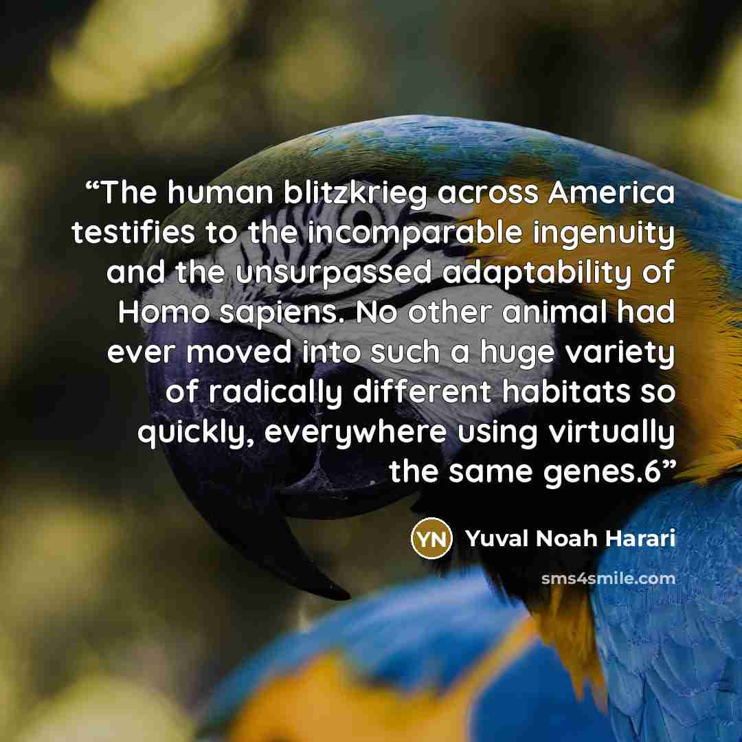 “The human blitzkrieg across America testifies to the incomparable ingenuity and the unsurpassed adaptability of Homo sapiens. No other animal had ever moved into such a huge variety of radically different habitats so quickly, everywhere using virtually the same genes.6” quote by Yuval Noah Harari