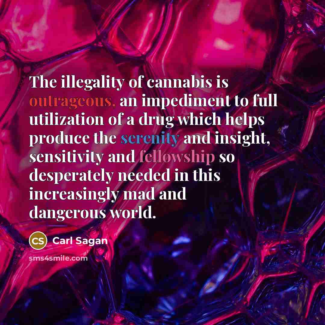 “The illegality of cannabis is outrageous, an impediment to full utilization of a drug which helps produce the serenity and insight, sensitivity and fellowship so desperately needed in this increasingly mad and dangerous world.” quote by Carl Sagan