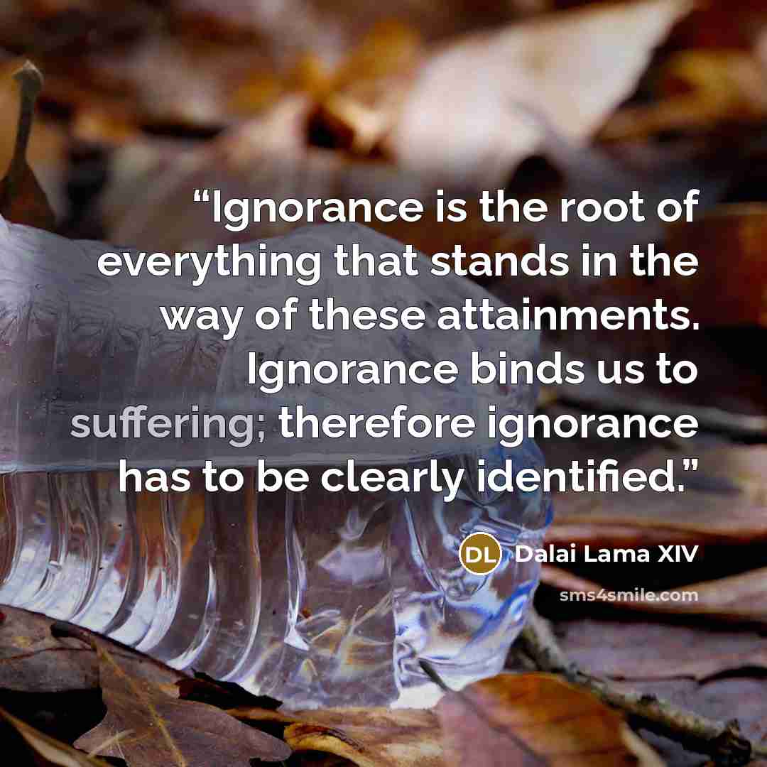 “Ignorance is the root of everything that stands in the way of these attainments. Ignorance binds us to suffering; therefore ignorance has to be clearly identified.” quote by Dalai Lama XIV