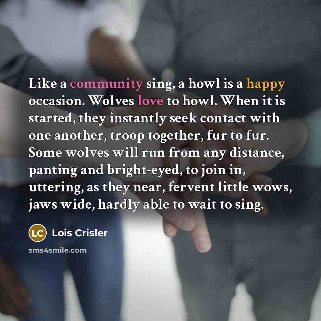 “Like a community sing, a howl is a happy occasion. Wolves love to howl. When it is started, they instantly seek contact with one another, troop together, fur to fur. Some wolves will run from any distance, panting and bright-eyed, to join in, uttering, as they near, fervent little wows, jaws wide…” quote by Lois Crisler