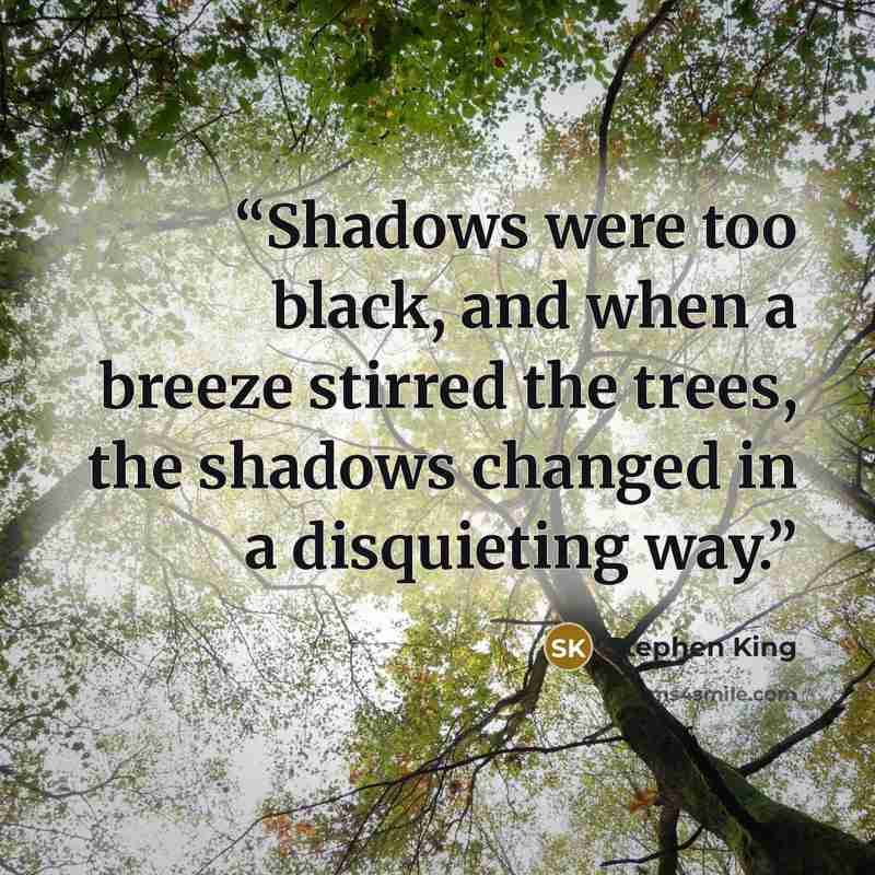 “Shadows were too black, and when a breeze stirred the trees, the shadows changed in a disquieting way.” quote by Stephen King