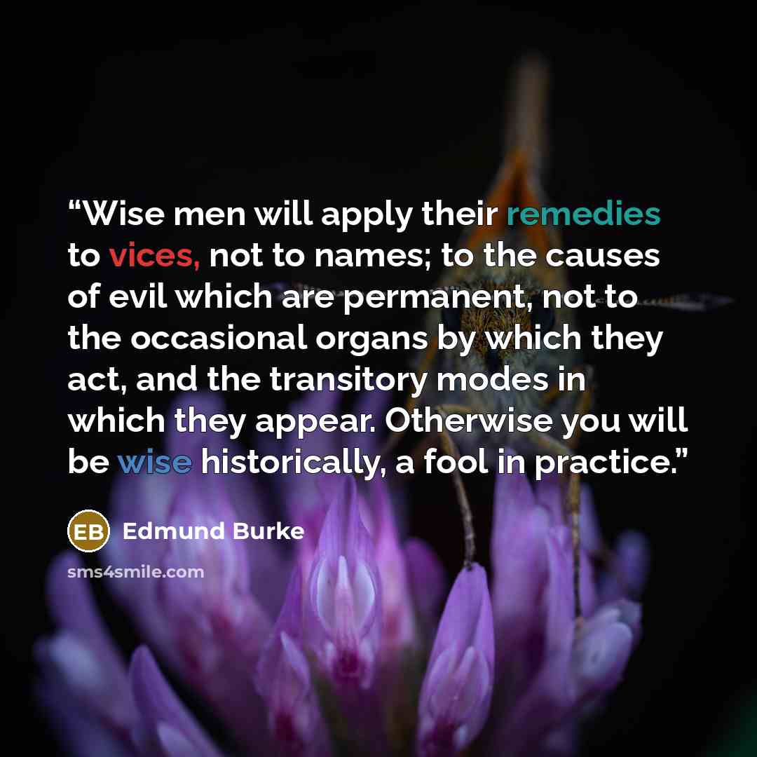 “Wise men will apply their remedies to vices, not to names; to the causes of evil which are permanent, not to the occasional organs by which they act, and the transitory modes in which they appear. Otherwise you will be wise historically, a fool in practice.” quote by Edmund Burke