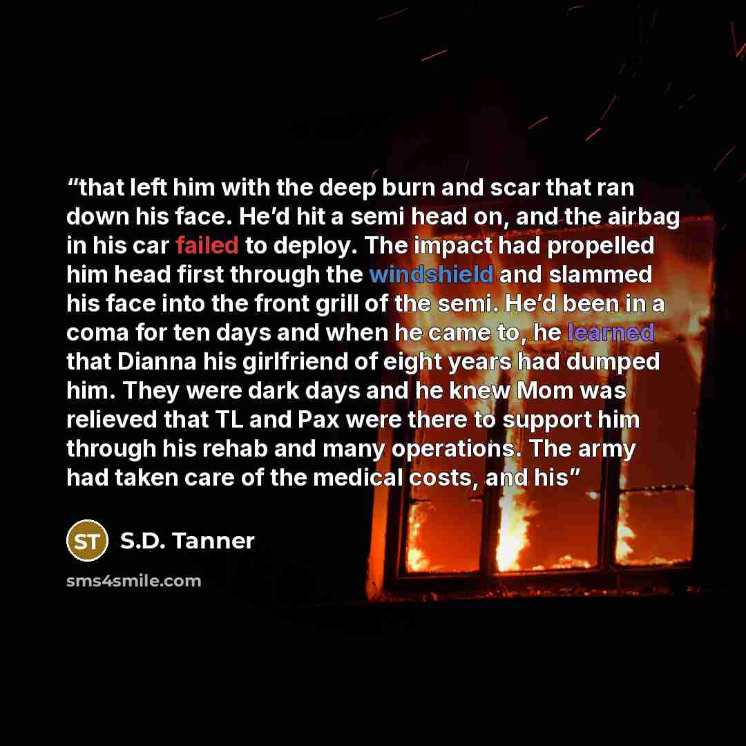 “that left him with the deep burn and scar that ran down his face. He’d hit a semi head on, and the airbag in his car failed to deploy. The impact had propelled him head first through the windshield and slammed his face into the front grill of the semi. He’d been in a coma for ten days and when he…” quote by S.D. Tanner