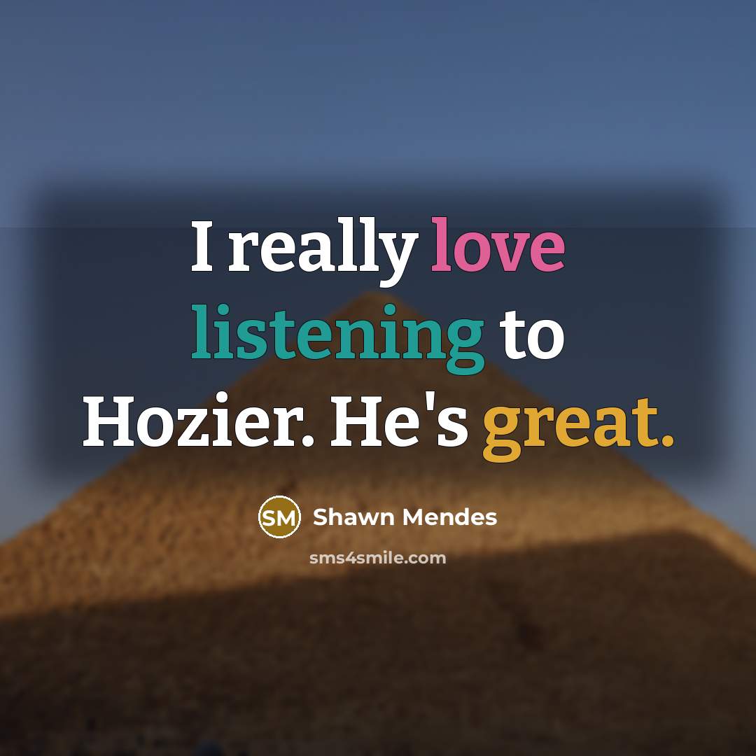 “I really love listening to Hozier. He's great.” quote by Shawn Mendes