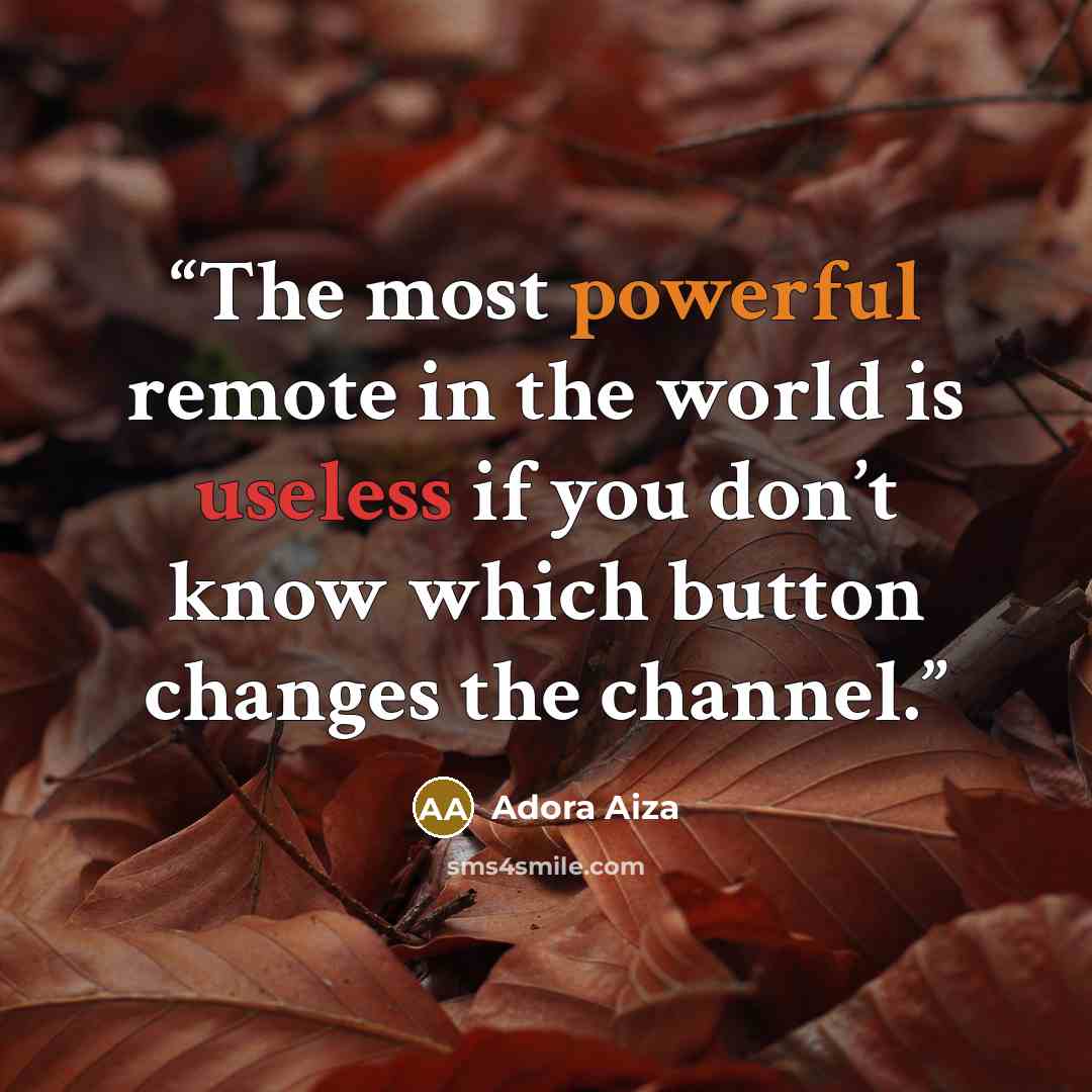 “The most powerful remote in the world is useless if you don’t know which button changes the channel.” quote by Adora Aiza