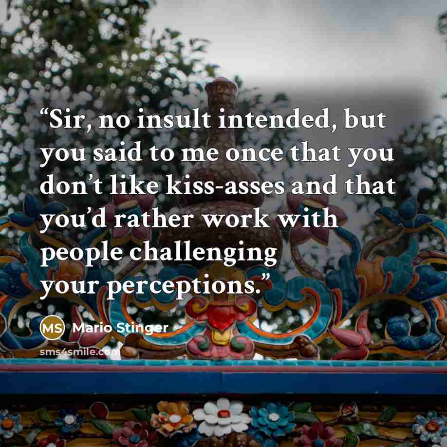 “Sir, no insult intended, but you said to me once that you don’t like kiss-asses and that you’d rather work with people challenging your perceptions.” quote by Mario Stinger