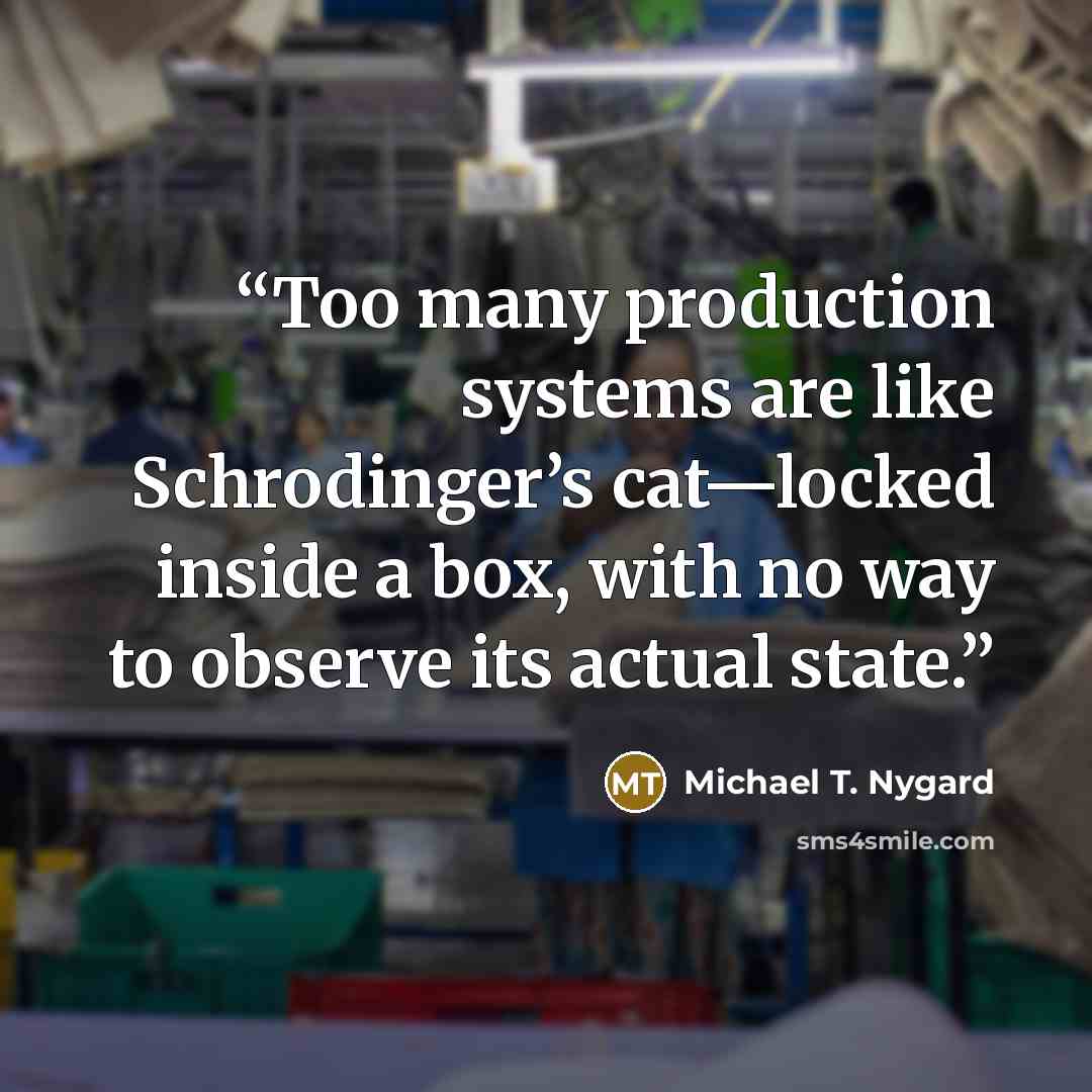 “Too many production systems are like Schrodinger’s cat—locked inside a box, with no way to observe its actual state.” quote by Michael T. Nygard