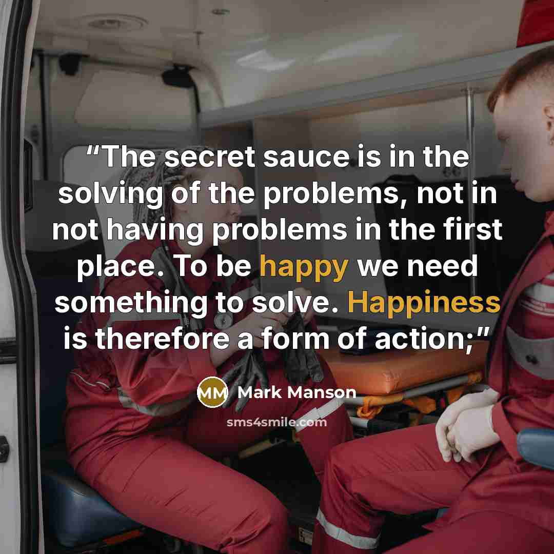 “The secret sauce is in the solving of the problems, not in not having problems in the first place. To be happy we need something to solve. Happiness is therefore a form of action;” quote by Mark Manson
