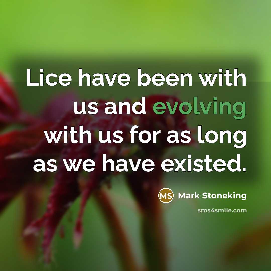 “Lice have been with us and evolving with us for as long as we have existed.” quote by Mark Stoneking