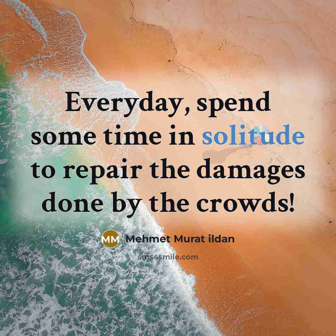 “Everyday, spend some time in solitude to repair the damages done by the crowds!” quote by Mehmet Murat Ildan