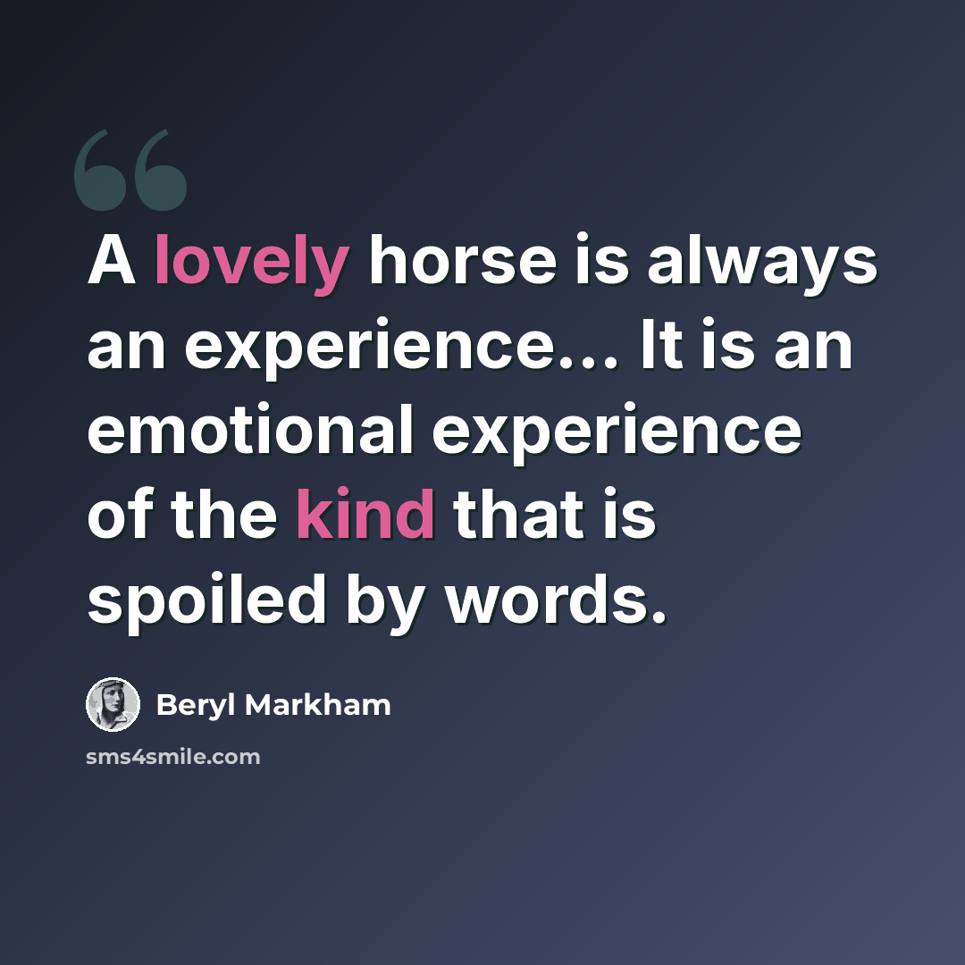 “A lovely horse is always an experience… It is an emotional experience of the kind that is spoiled by words.” quote by Beryl Markham