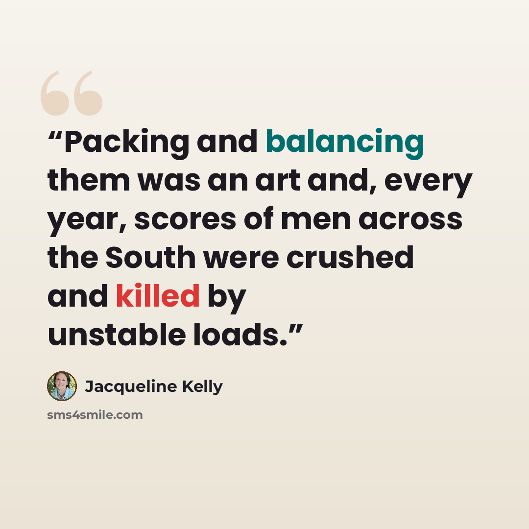 “Packing and balancing them was an art and, every year, scores of men across the South were crushed and killed by unstable loads.” quote by Jacqueline Kelly