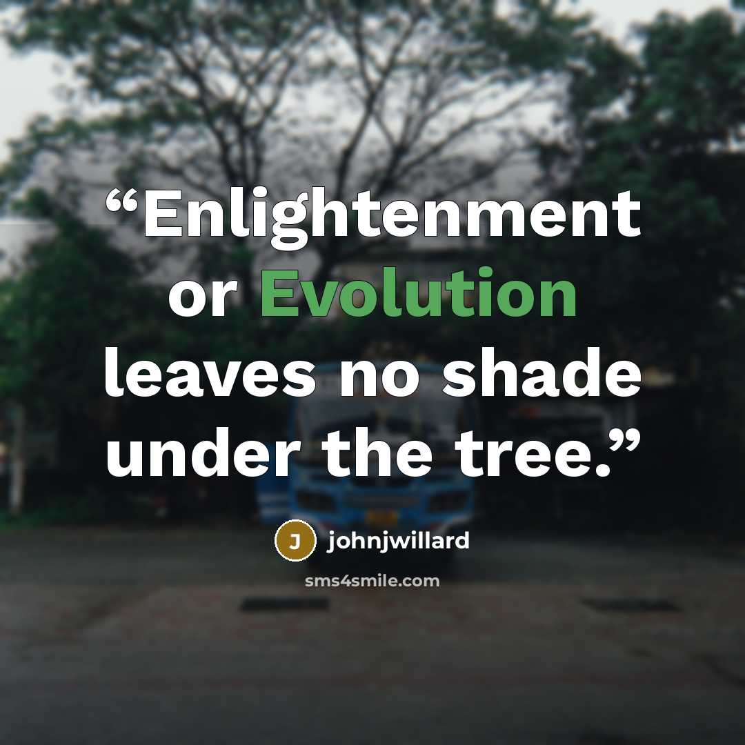 “Enlightenment or Evolution leaves no shade under the tree.” quote by johnjwillard