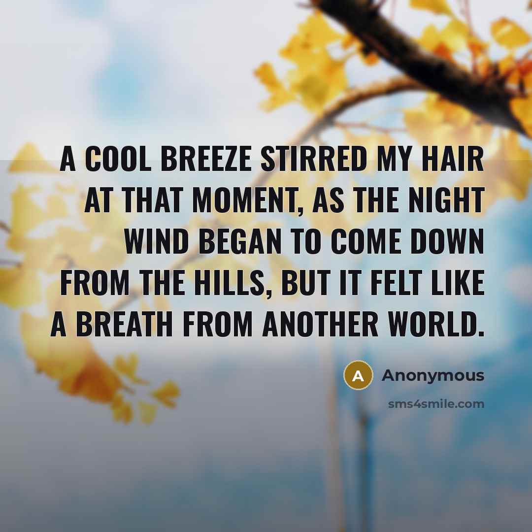 “A cool breeze stirred my hair at that moment, as the night wind began to come down from the hills, but it felt like a breath from another world.” quote by Anonymous