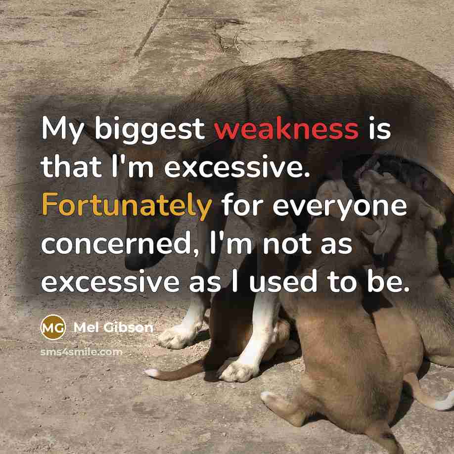 “My biggest weakness is that I'm excessive. Fortunately for everyone concerned, I'm not as excessive as I used to be.” quote by Mel Gibson