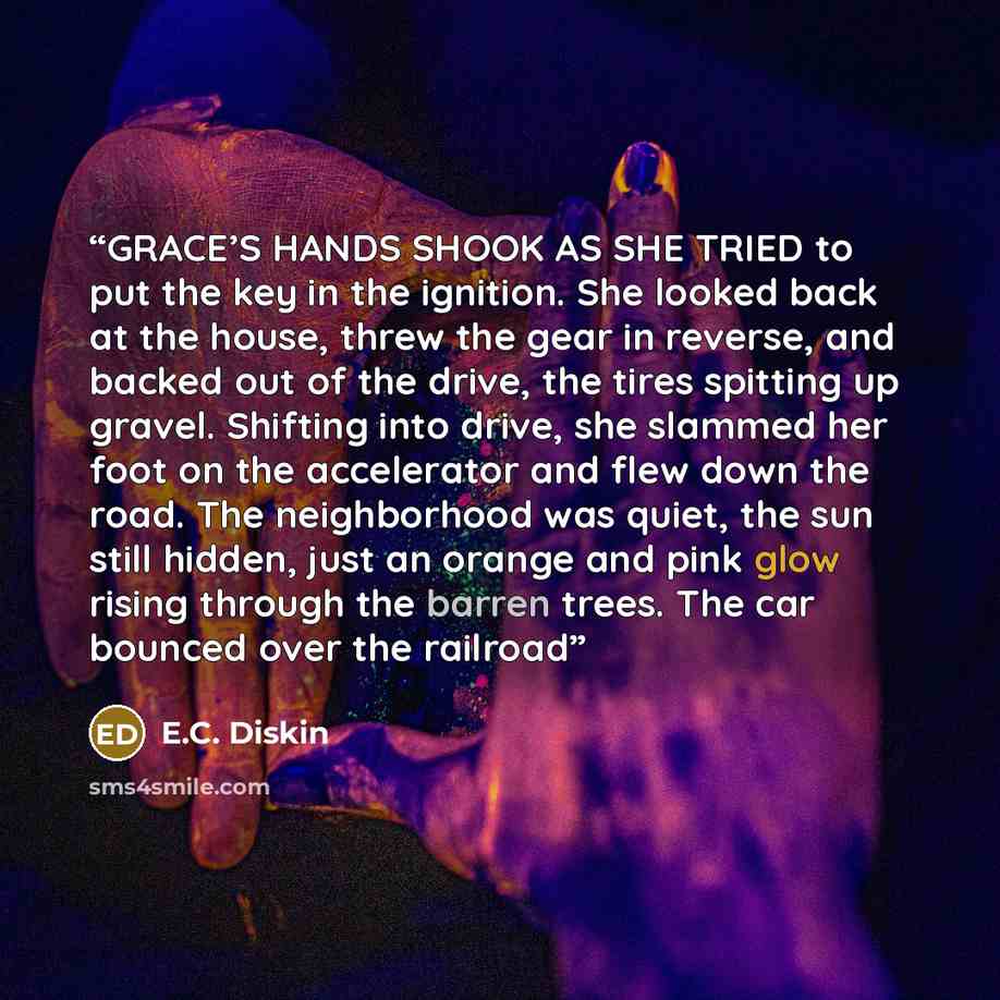 “GRACE’S HANDS SHOOK AS SHE TRIED to put the key in the ignition. She looked back at the house, threw the gear in reverse, and backed out of the drive, the tires spitting up gravel. Shifting into drive, she slammed her foot on the accelerator and flew down the road. The neighborhood was quiet, the…” quote by E.C. Diskin