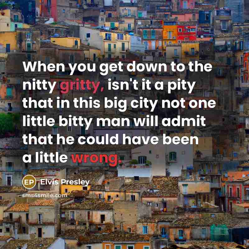 “When you get down to the nitty gritty, isn't it a pity that in this big city not one little bitty man will admit that he could have been a little wrong.” quote by Elvis Presley