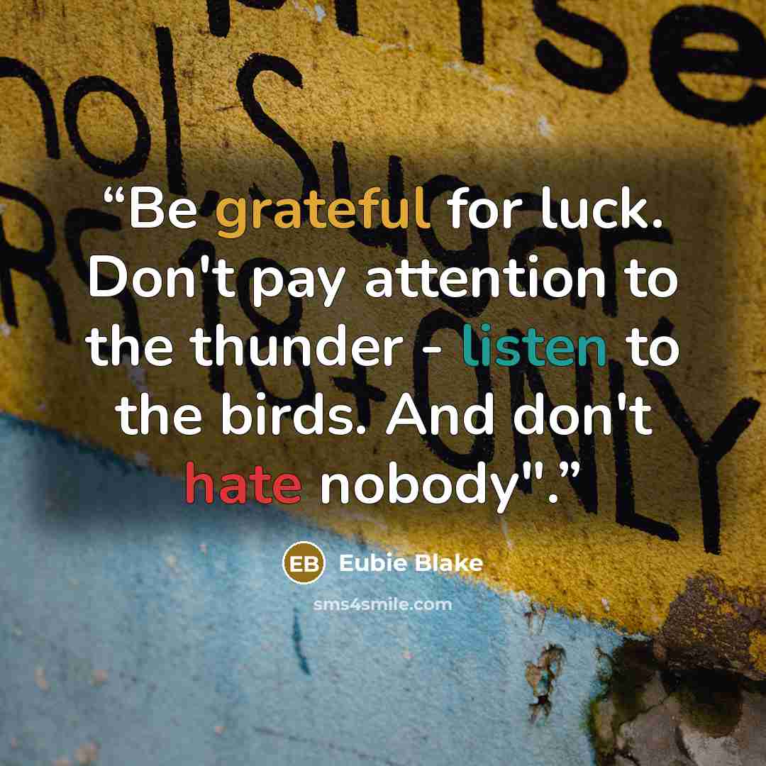 “Be grateful for luck. Don't pay attention to the thunder - listen to the birds. And don't hate nobody".” quote by Eubie Blake