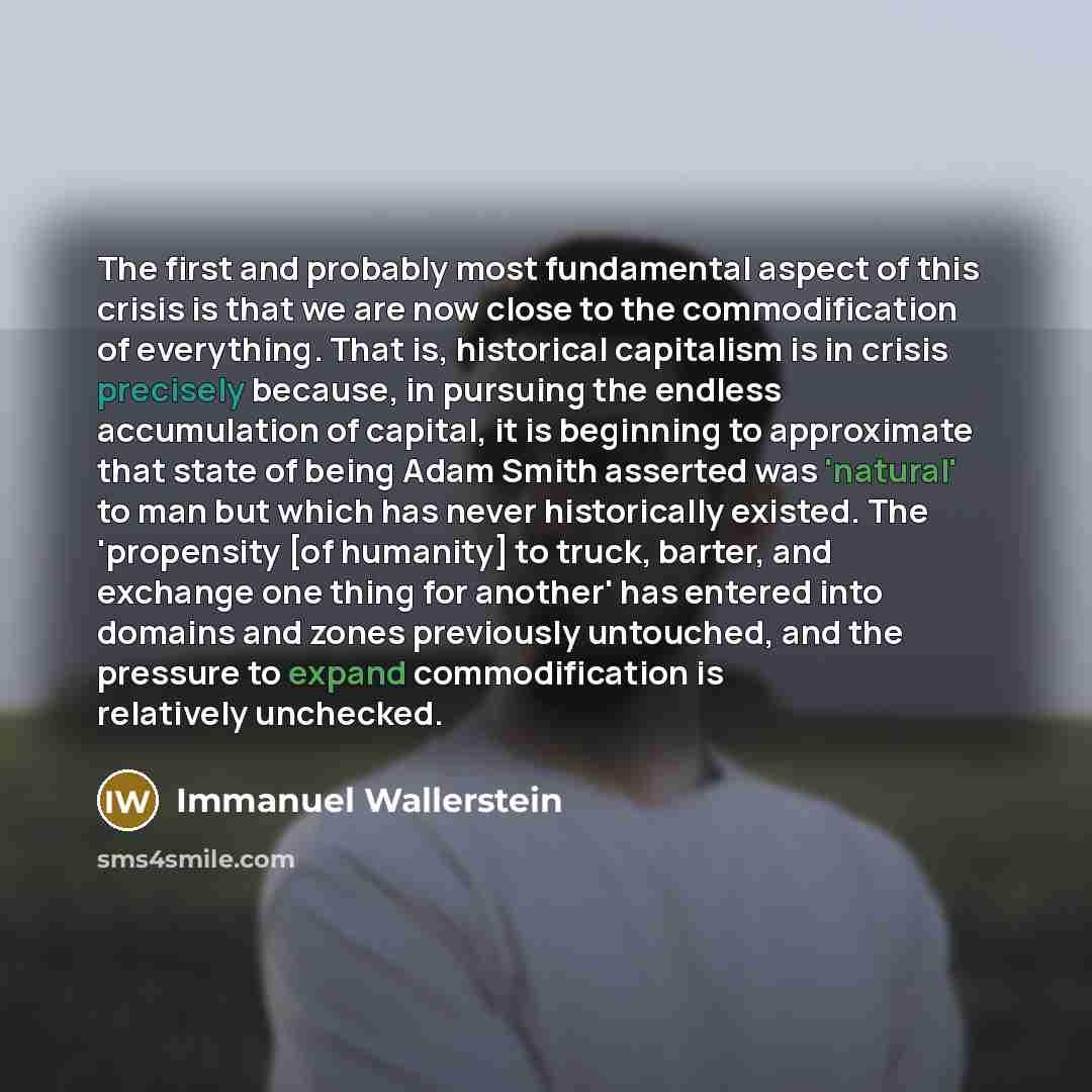 “The first and probably most fundamental aspect of this crisis is that we are now close to the commodification of everything. That is, historical capitalism is in crisis precisely because, in pursuing the endless accumulation of capital, it is beginning to approximate that state of being Adam Smith…” quote by Immanuel Wallerstein