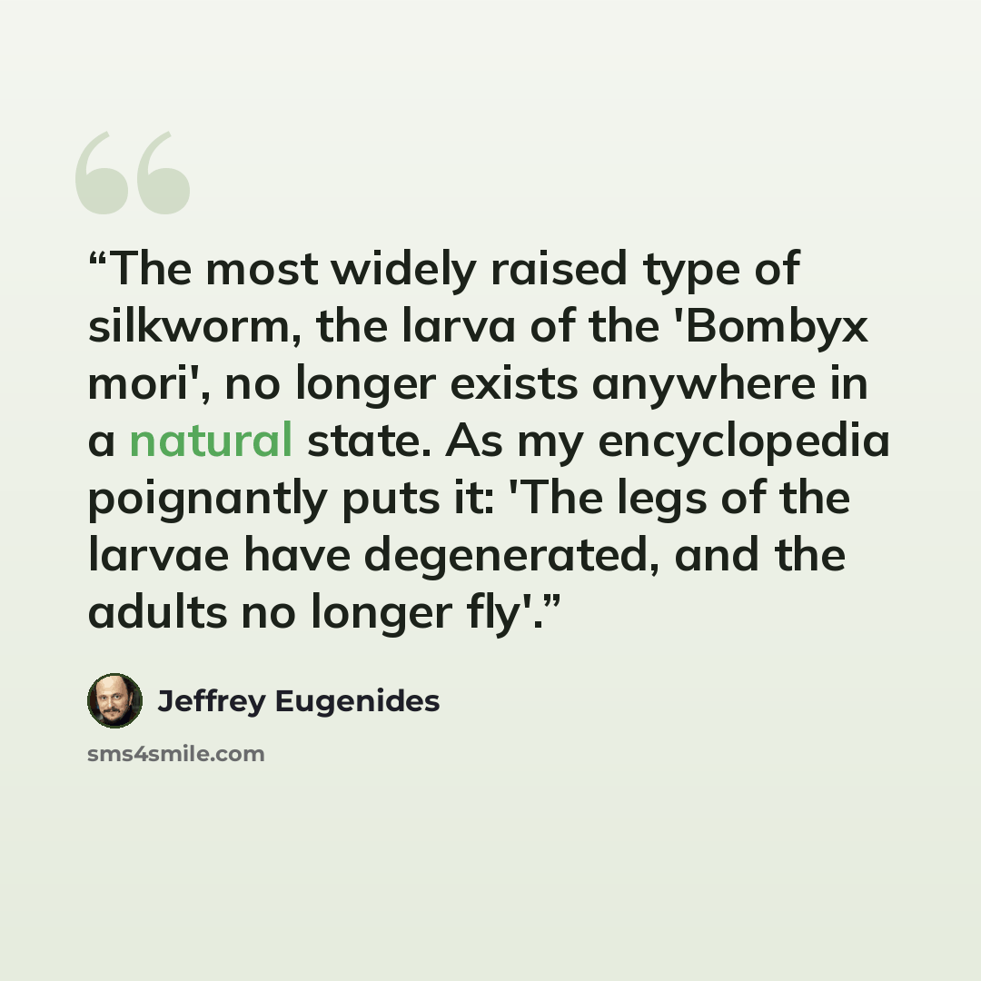 “The most widely raised type of silkworm, the larva of the 'Bombyx mori', no longer exists anywhere in a natural state. As my encyclopedia poignantly puts it: 'The legs of the larvae have degenerated, and the adults no longer fly'.” quote by Jeffrey Eugenides
