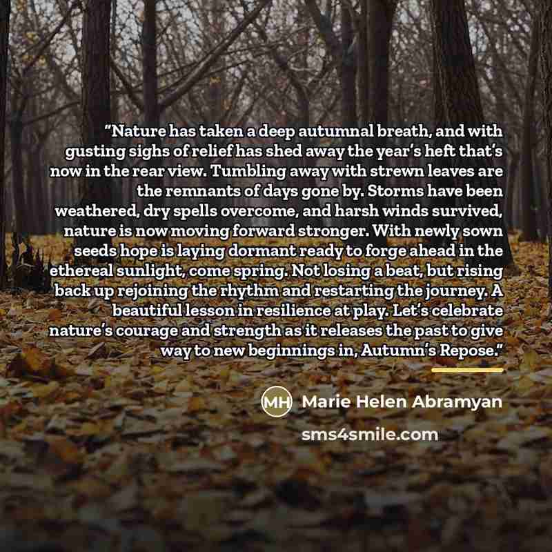 “Nature has taken a deep autumnal breath, and with gusting sighs of relief has shed away the year’s heft that’s now in the rear view. Tumbling away with strewn leaves are the remnants of days gone by. Storms have been weathered, dry spells overcome, and harsh winds survived, nature is now moving…” quote by Marie Helen Abramyan