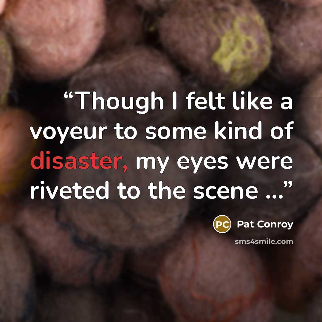 “Though I felt like a voyeur to some kind of disaster, my eyes were riveted to the scene ...” quote by Pat Conroy