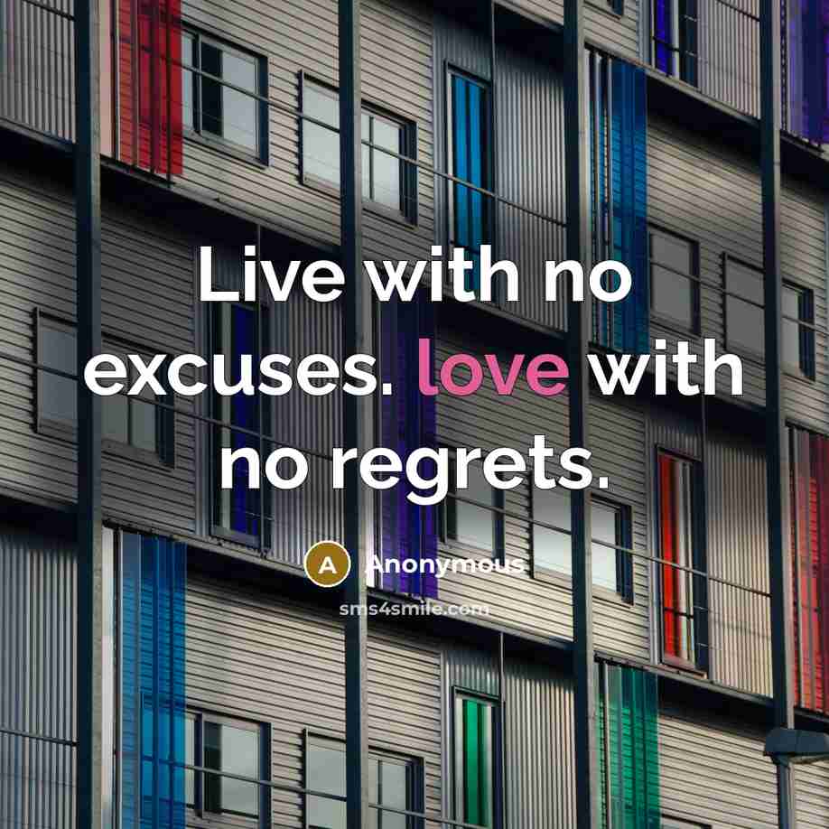 “Live with no excuses. love with no regrets.” quote by Anonymous
