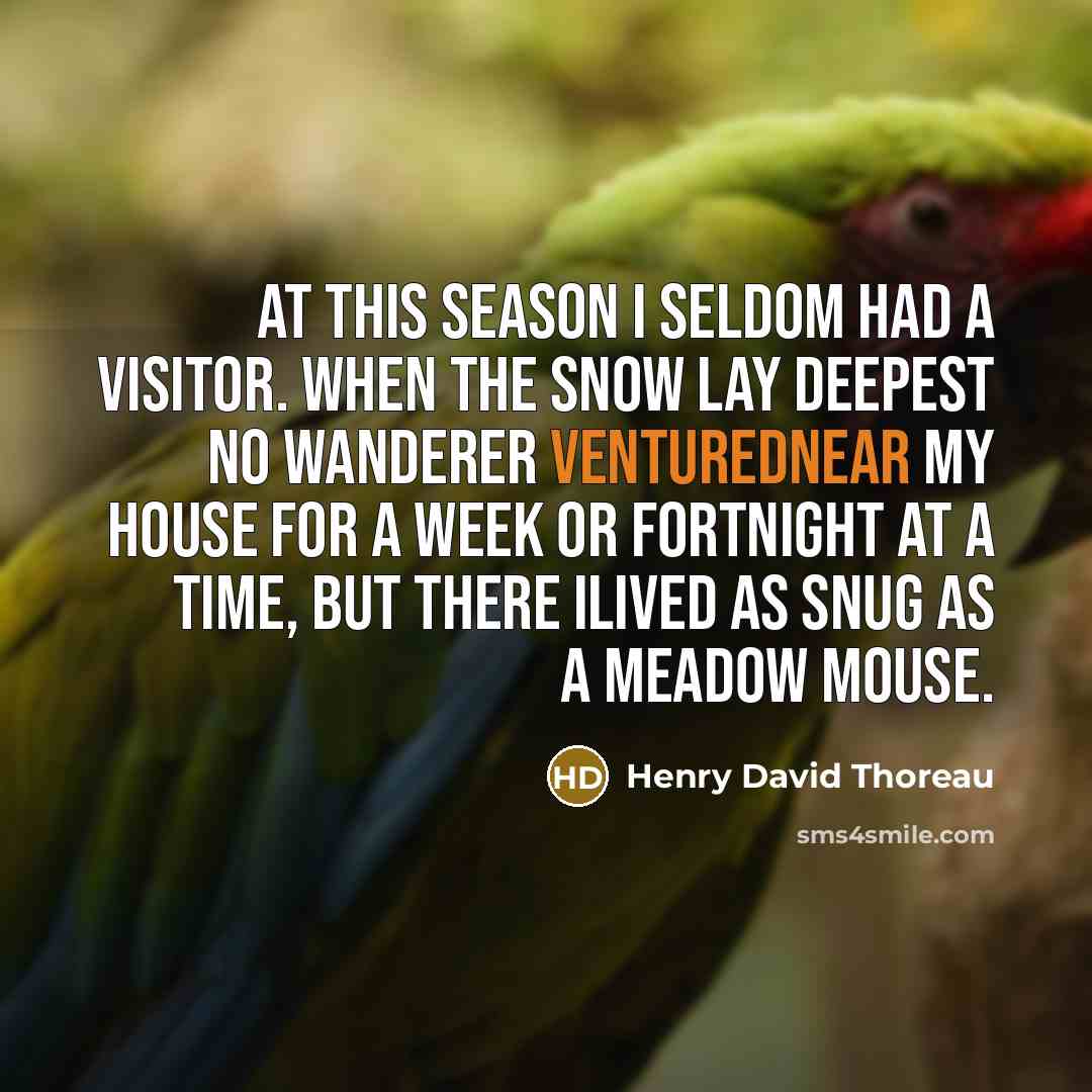 “At this season I seldom had a visitor. When the snow lay deepest no wanderer venturednear my house for a week or fortnight at a time, but there Ilived as snug as a meadow mouse.” quote by Henry David Thoreau