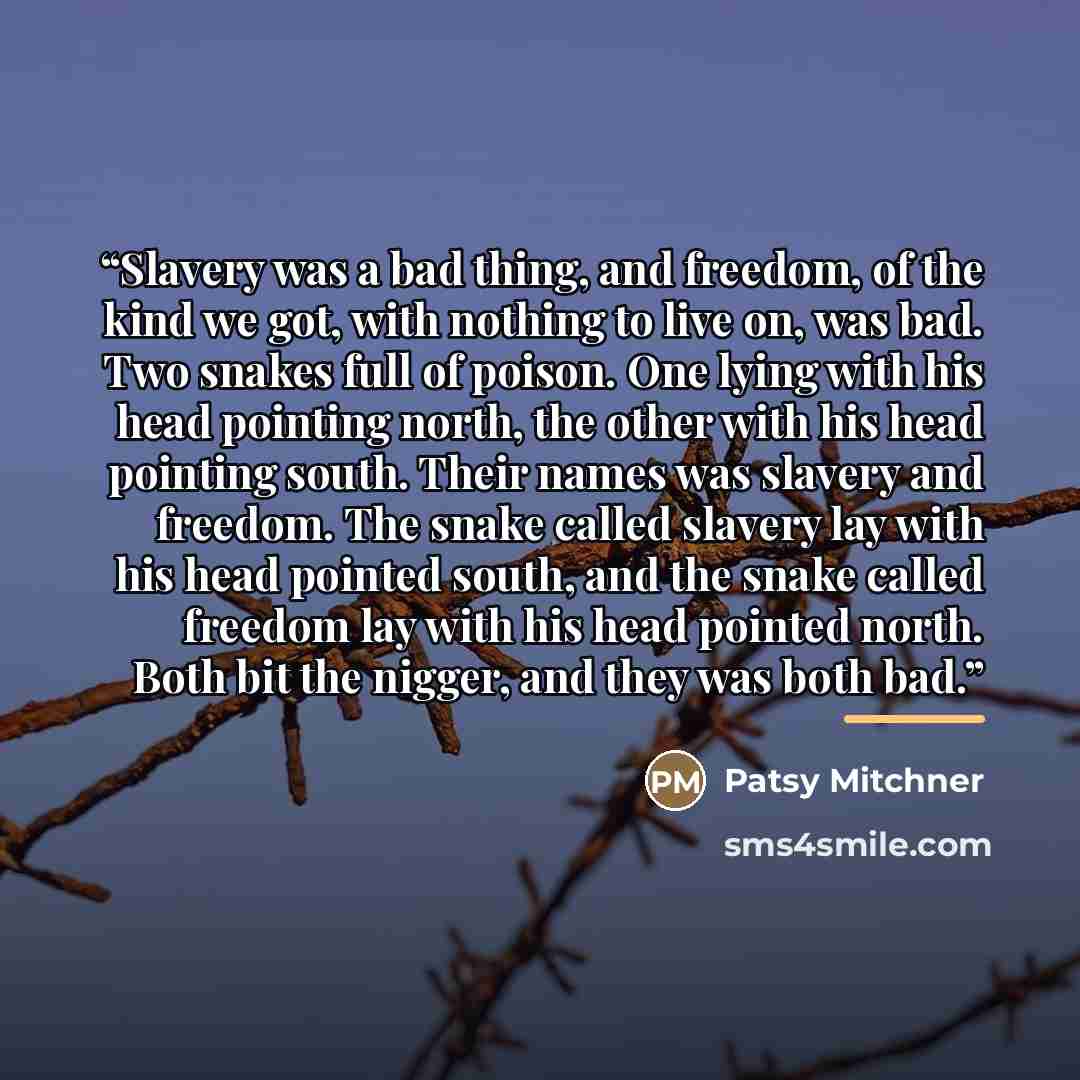 “Slavery was a bad thing, and freedom, of the kind we got, with nothing to live on, was bad. Two snakes full of poison. One lying with his head pointing north, the other with his head pointing south. Their names was slavery and freedom. The snake called slavery lay with his head pointed south, and…” quote by Patsy Mitchner