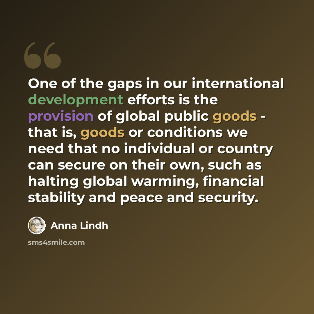 “One of the gaps in our international development efforts is the provision of global public goods - that is, goods or conditions we need that no individual or country can secure on their own, such as halting global warming, financial stability and peace and security.” quote by Anna Lindh