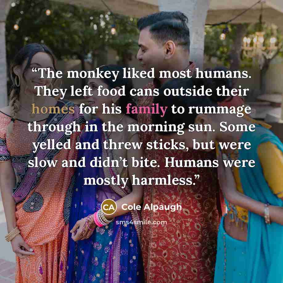 “The monkey liked most humans. They left food cans outside their homes for his family to rummage through in the morning sun. Some yelled and threw sticks, but were slow and didn’t bite. Humans were mostly harmless.” quote by Cole Alpaugh