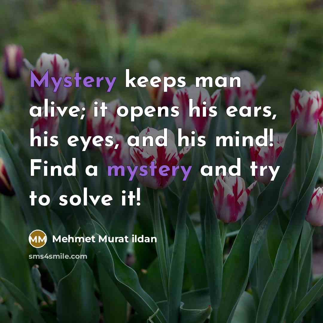 “Mystery keeps man alive; it opens his ears, his eyes, and his mind! Find a mystery and try to solve it!” quote by Mehmet Murat Ildan