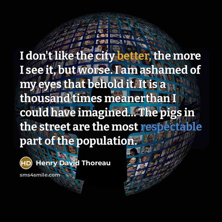 “I don't like the city better, the more I see it, but worse. I am ashamed of my eyes that behold it. It is a thousand times meanerthan I could have imagined… The pigs in the street are the most respectable part of the population.” quote by Henry David Thoreau