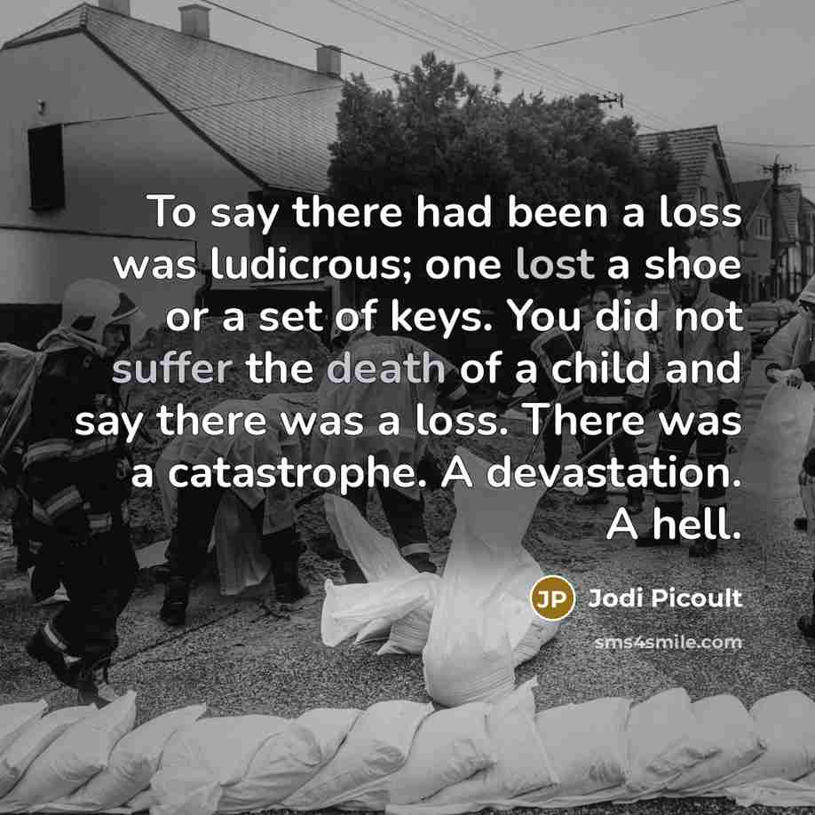 “To say there had been a loss was ludicrous; one lost a shoe or a set of keys. You did not suffer the death of a child and say there was a loss. There was a catastrophe. A devastation. A hell.” quote by Jodi Picoult