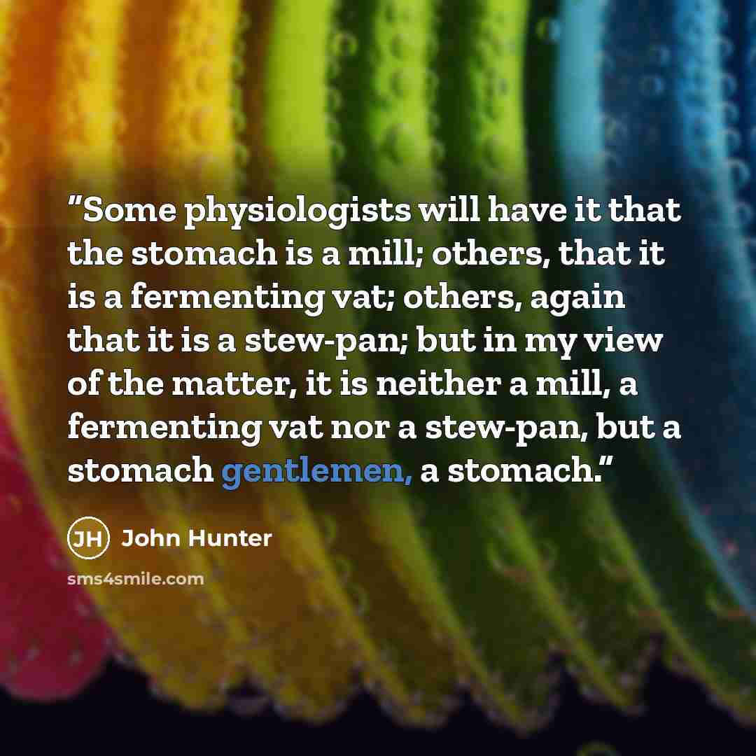 “Some physiologists will have it that the stomach is a mill; others, that it is a fermenting vat; others, again that it is a stew-pan; but in my view of the matter, it is neither a mill, a fermenting vat nor a stew-pan, but a stomach gentlemen, a stomach.” quote by John Hunter