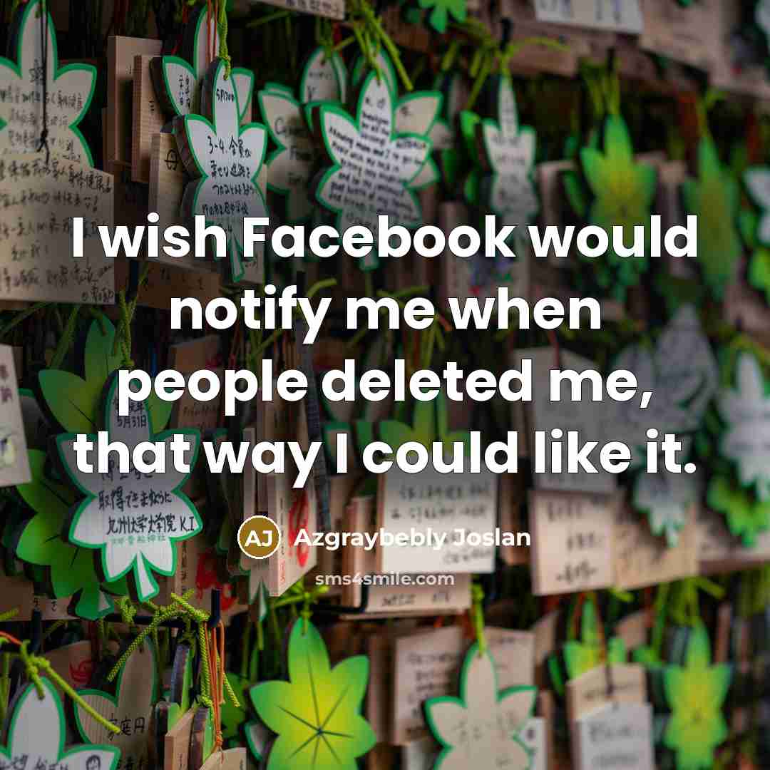 “I wish Facebook would notify me when people deleted me, that way I could like it.” quote by Azgraybebly Joslan