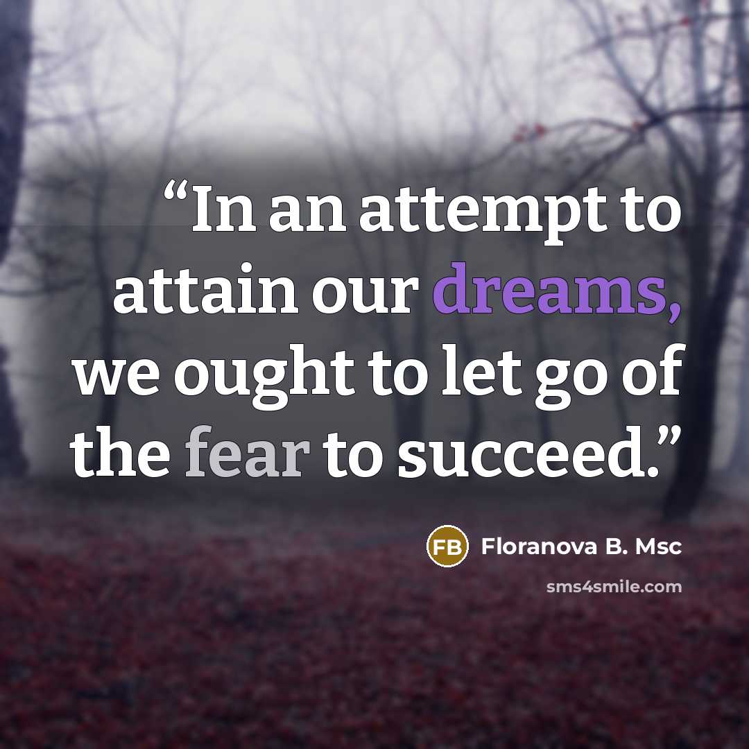 “In an attempt to attain our dreams, we ought to let go of the fear to succeed.” quote by Floranova B. Msc