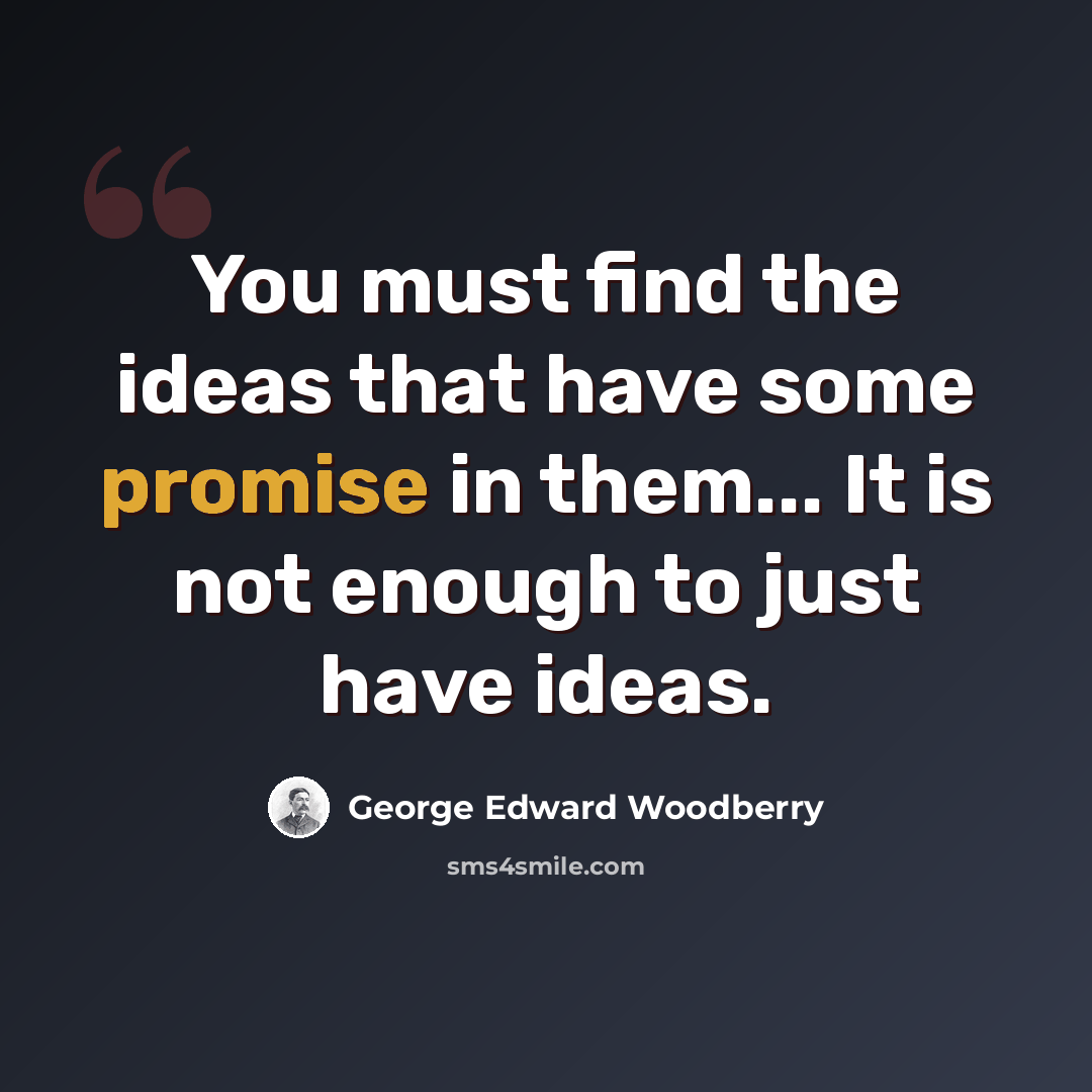 “You must find the ideas that have some promise in them... It is not enough to just have ideas.” quote by George Edward Woodberry