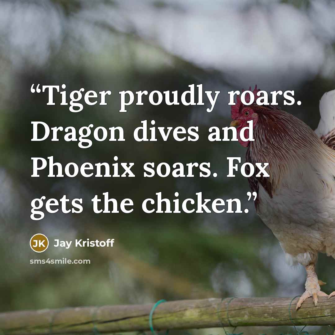 “Tiger proudly roars. Dragon dives and Phoenix soars. Fox gets the chicken.” quote by Jay Kristoff
