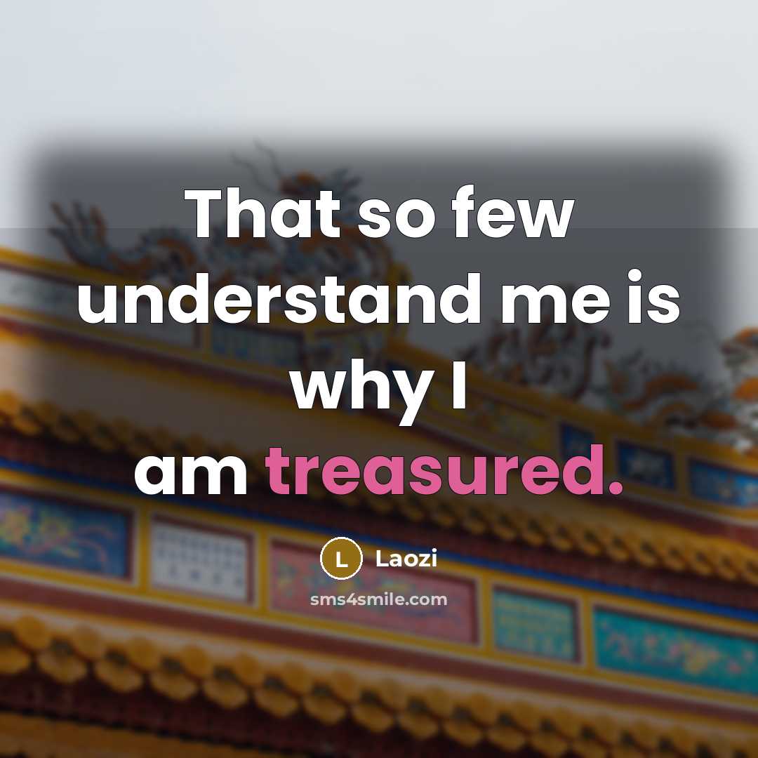 “That so few understand me is why I am treasured.” quote by Laozi