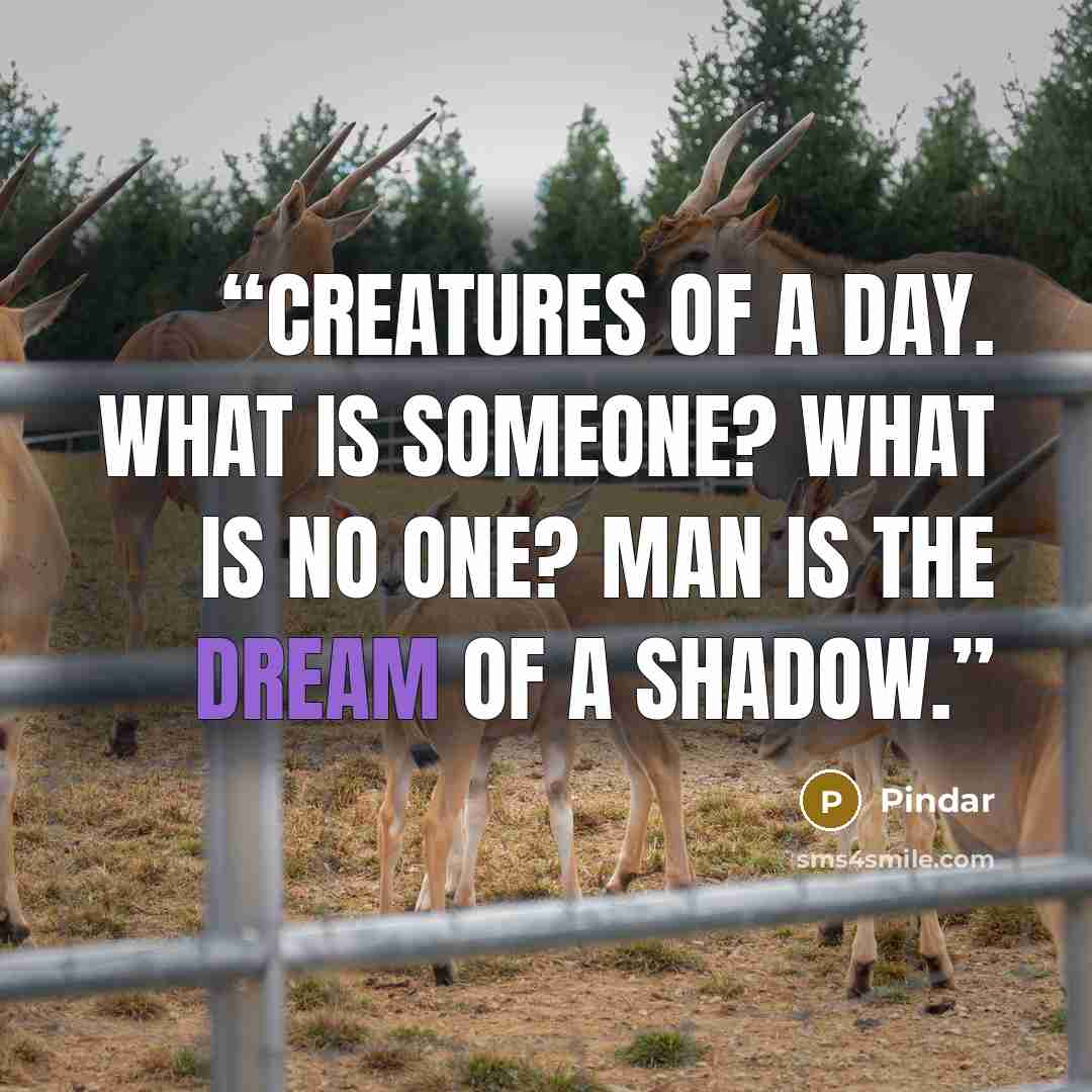 “Creatures of a day. What is someone? What is no one? Man is the dream of a shadow.” quote by Pindar