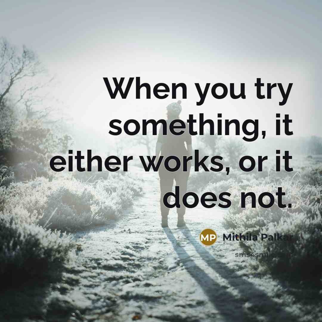 “When you try something, it either works, or it does not.” quote by Mithila Palkar